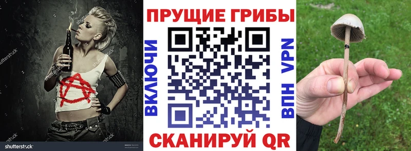 цены Шенкурск Галлюциногенные грибы MAGIC MUSHROOMS